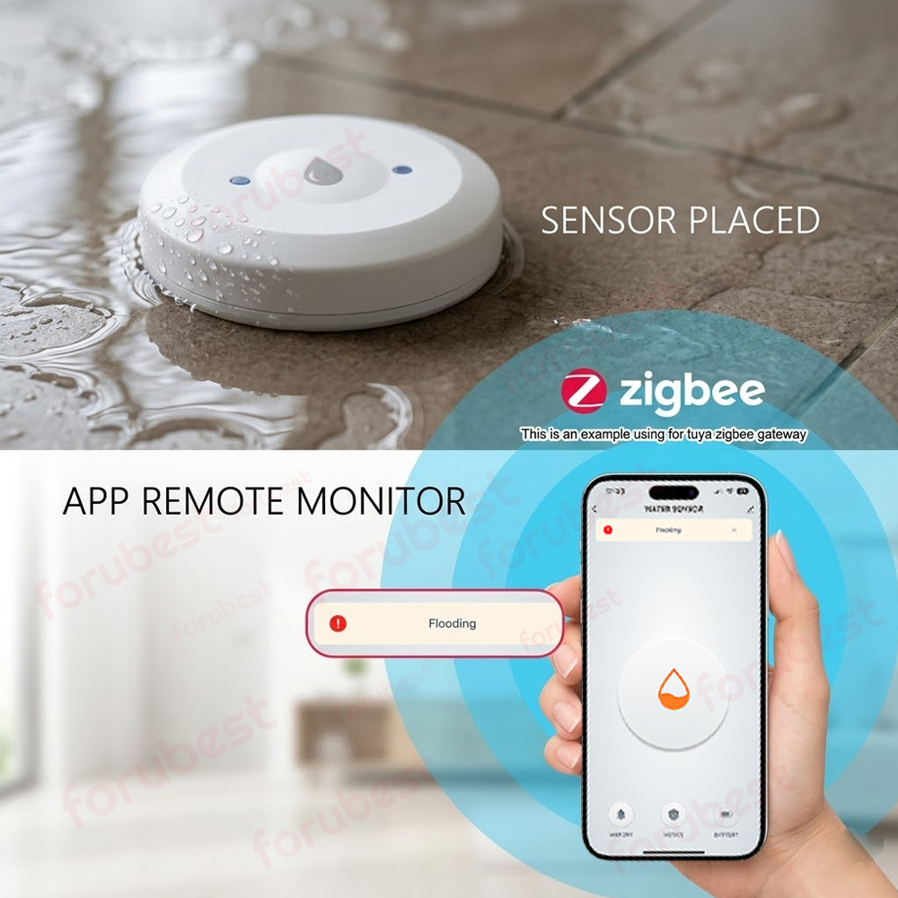 Sensore d'Acqua Zigbee, Rileva - Kitchen Appliances Video recensione e prezzo