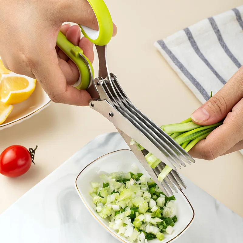 Forbici da cucina multifunzion - Kitchen Appliances Green recensione e prezzo