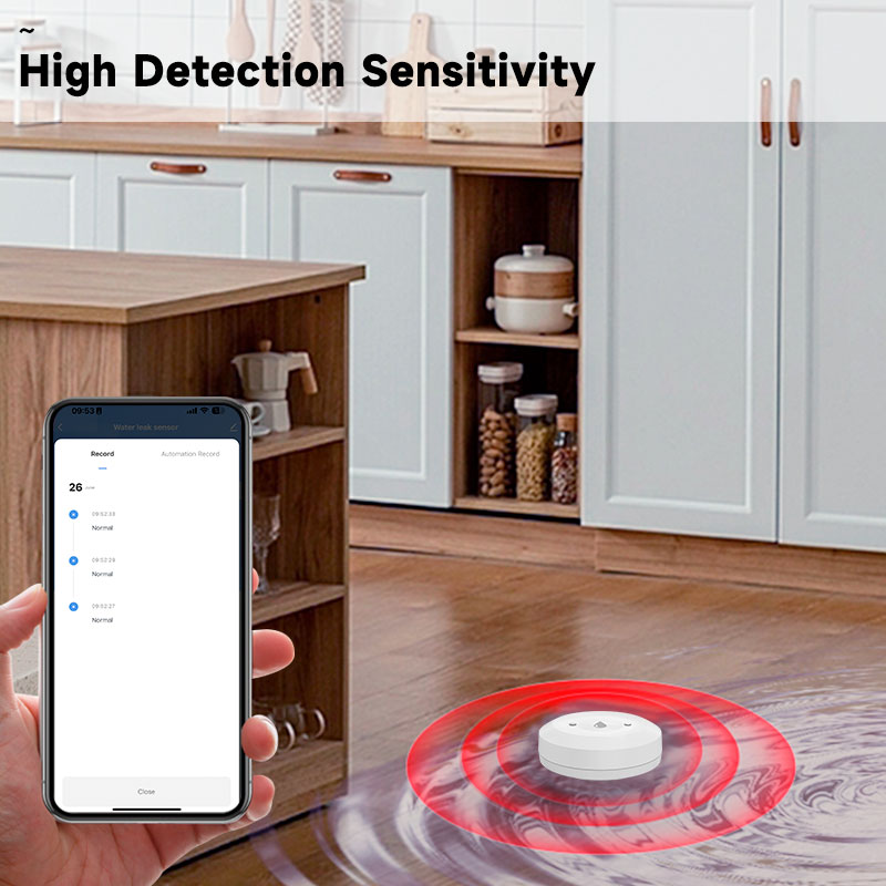 Sensore Intelligente Tuya ZigB - Kitchen Appliances Video recensione e prezzo