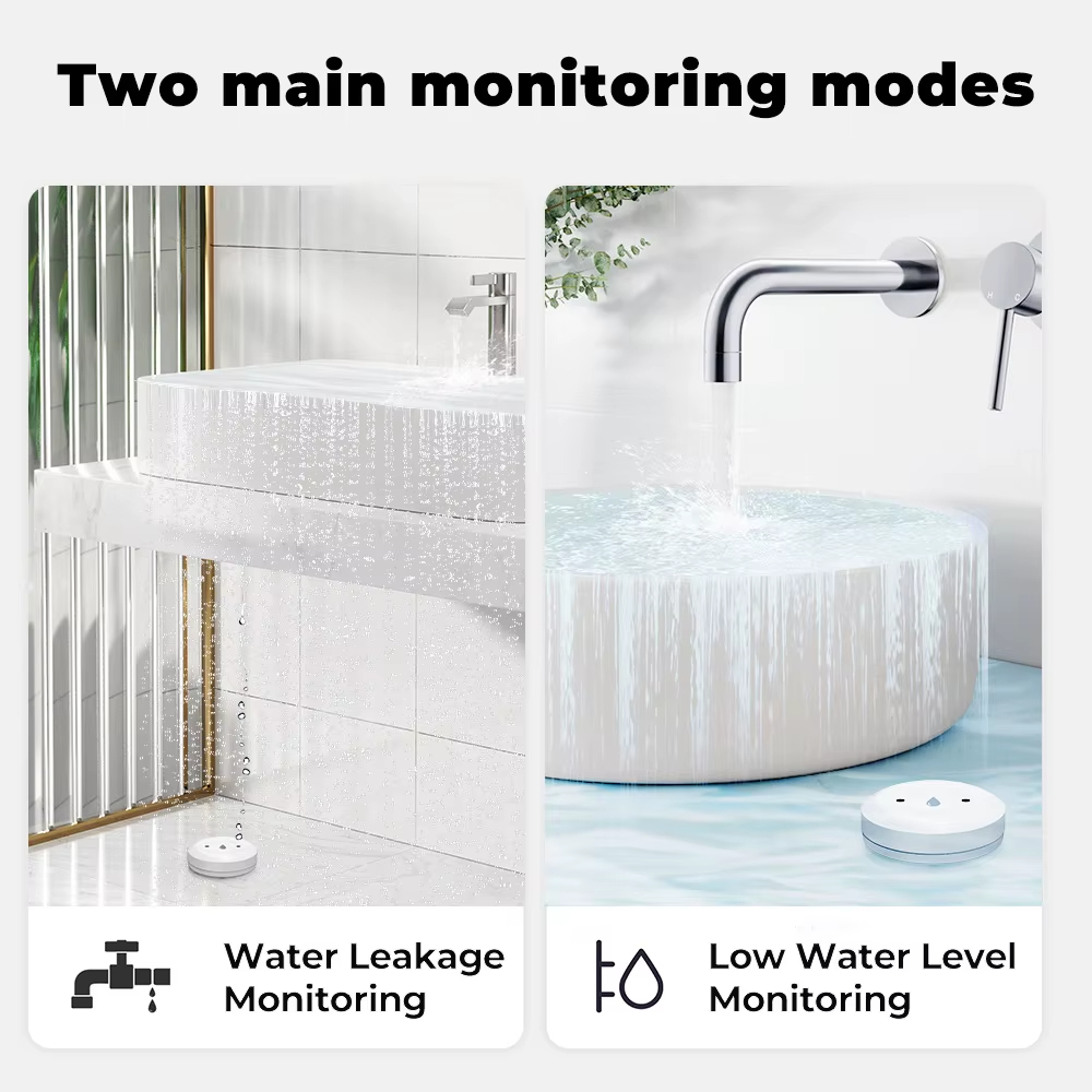 Sensore Intelligente ZigBee pe - Kitchen Appliances Video recensione e prezzo